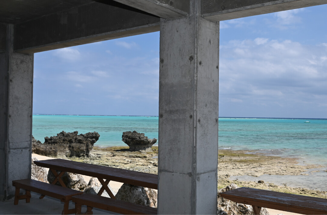 与論島での活動風景16